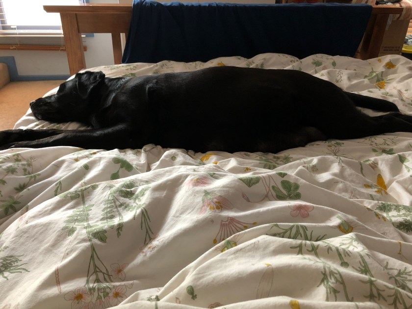 56963443016__eab68e4d-d5bb-450f-a074-4144d7ea306a