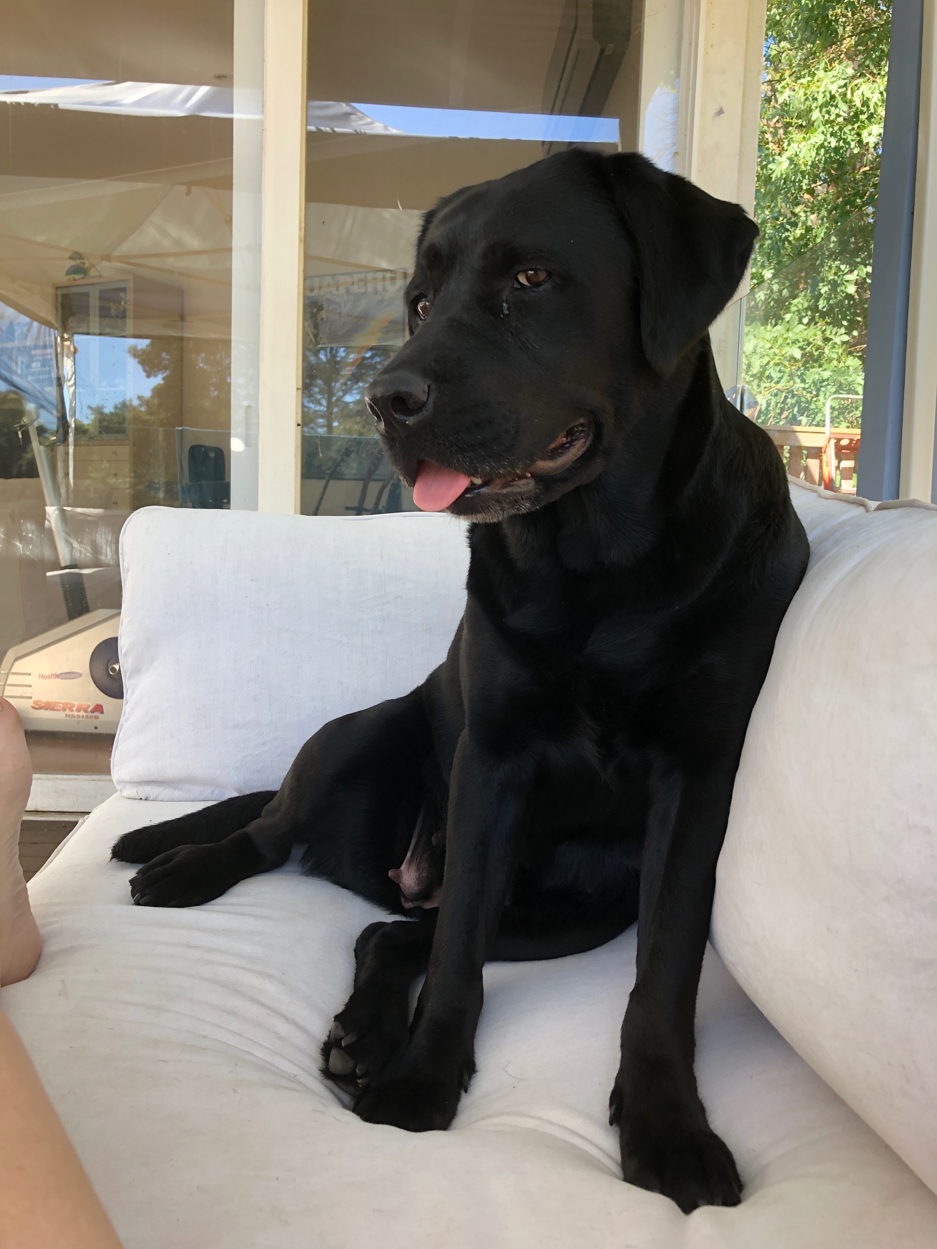 day 35 - 24 december