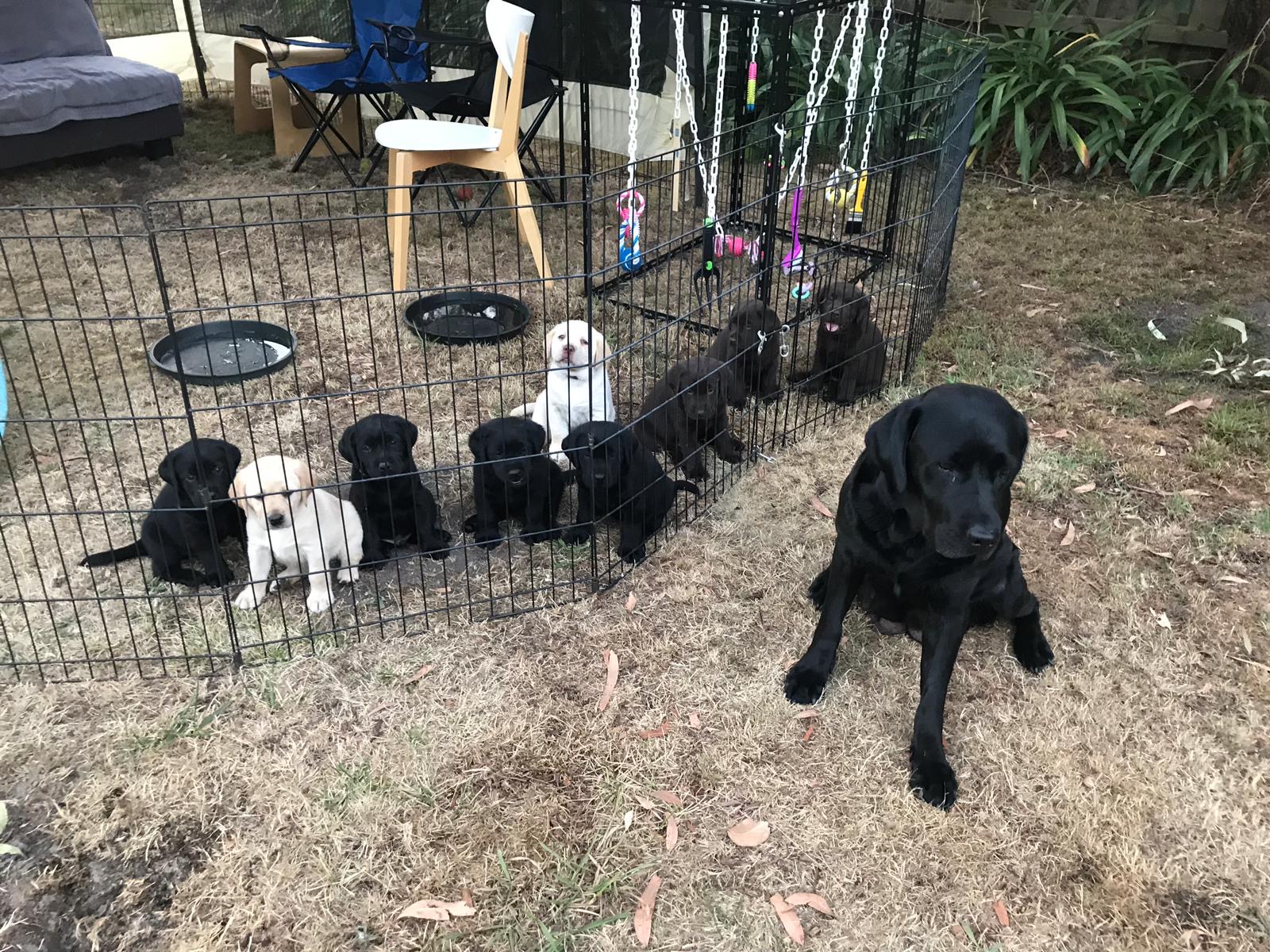 a5d9e5f3-fcda-4cdf-a4bd-5399f867b040